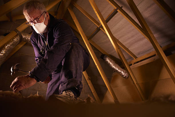 Best Attic Insulation Installation  in Port Byron, NY